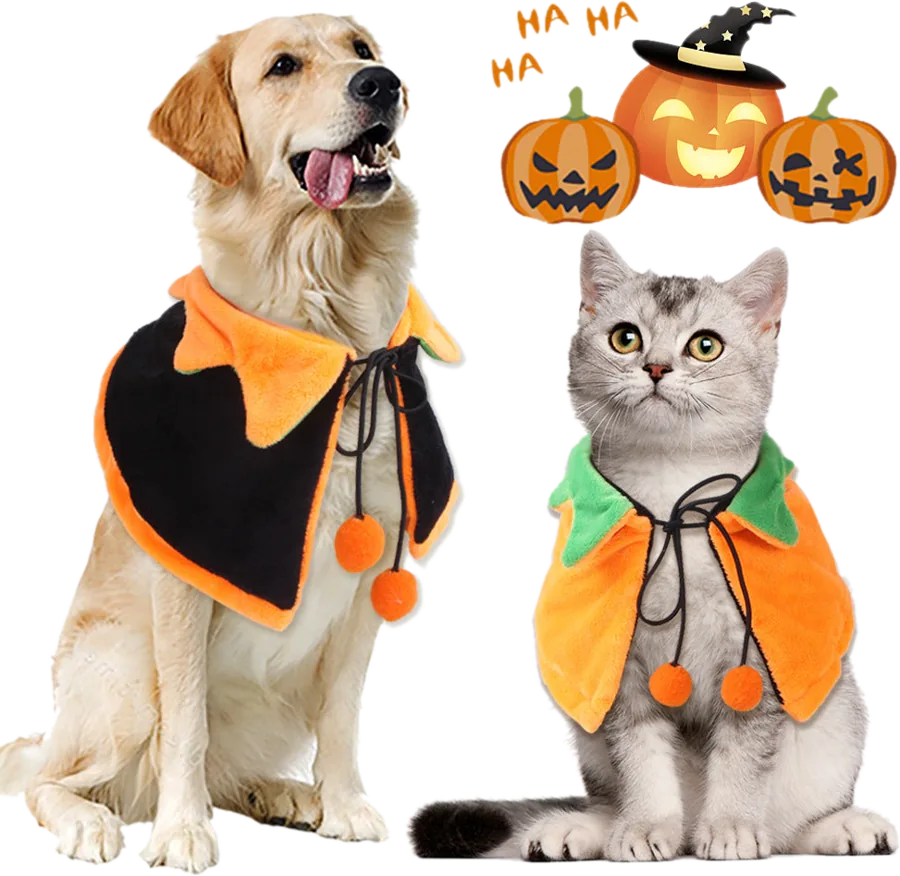 Dog and cat in pumpkin capes, demon mask and baby in a pumpkin costume