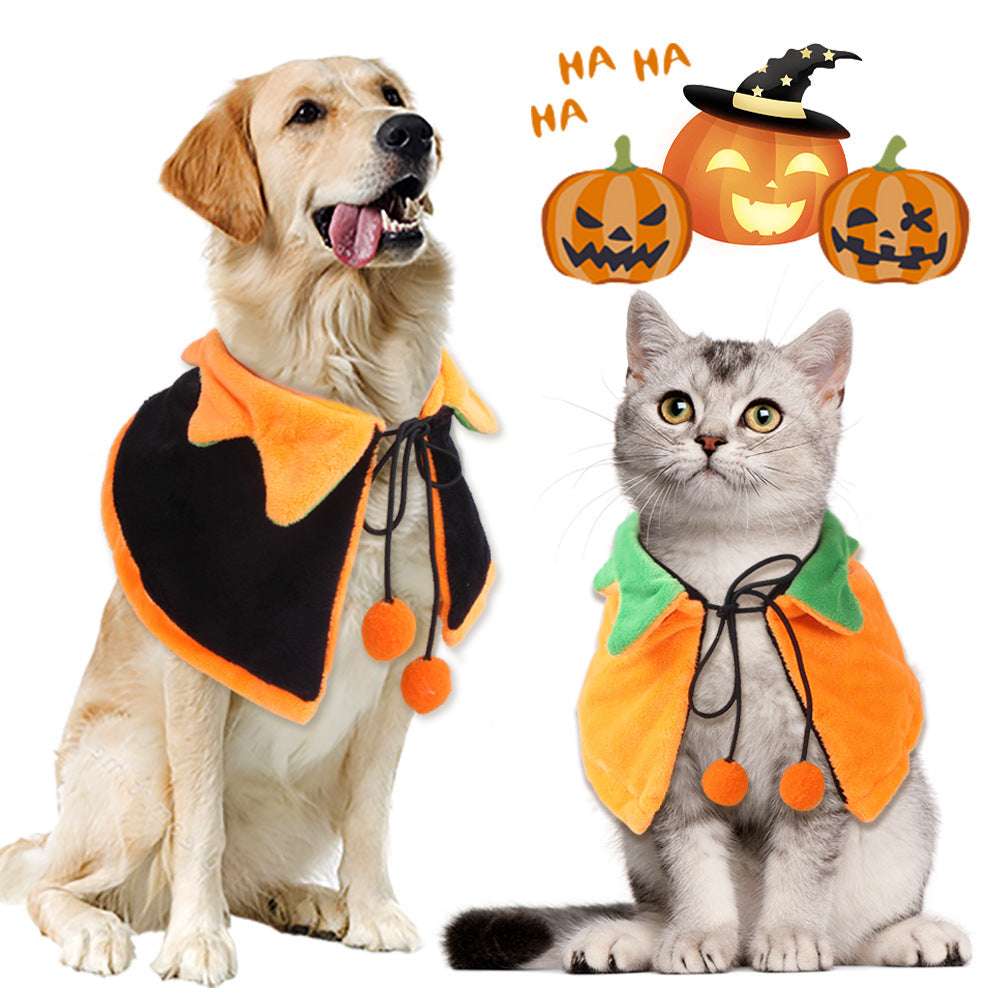 Dogs