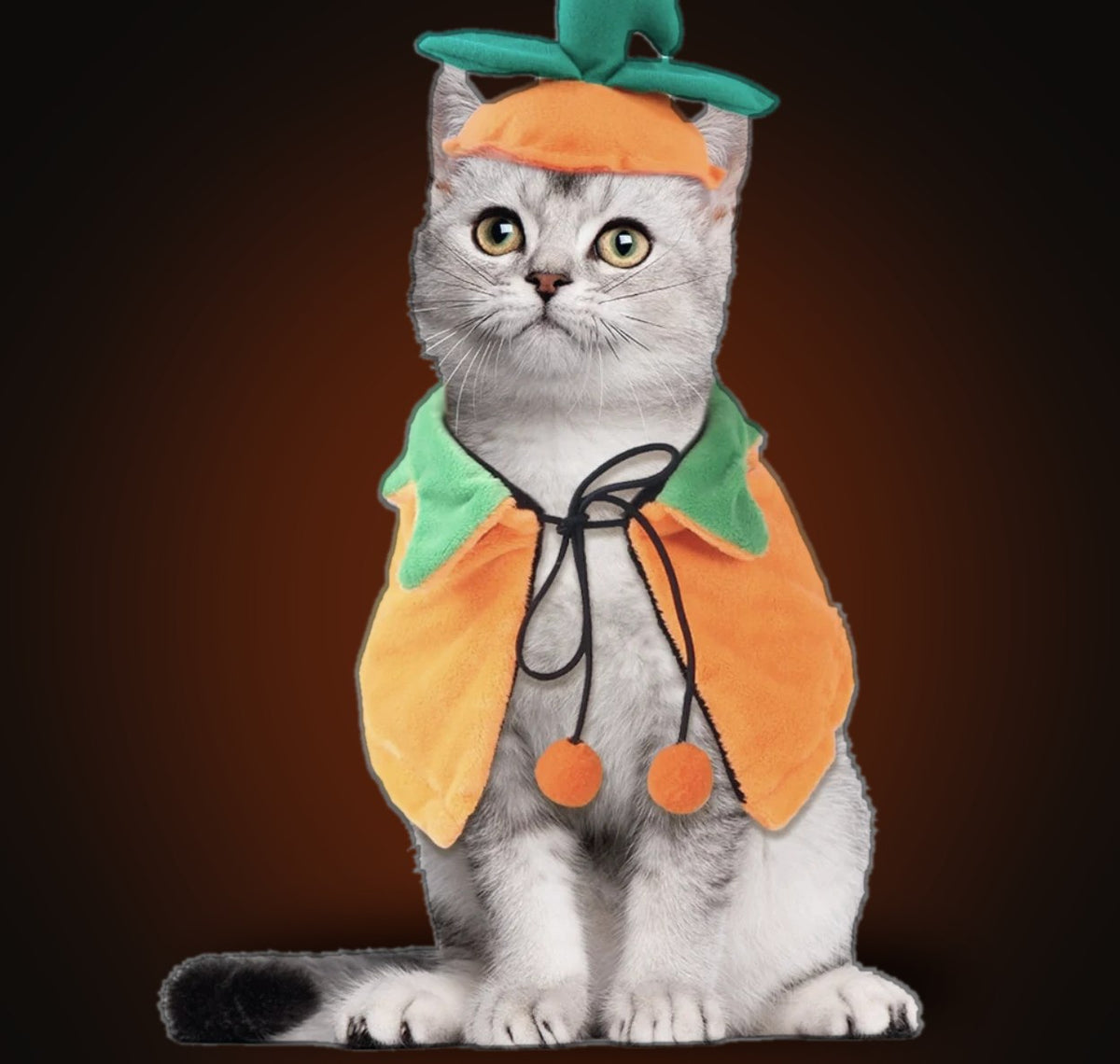 Cat wearing the Halloween pumpkin cape and hat