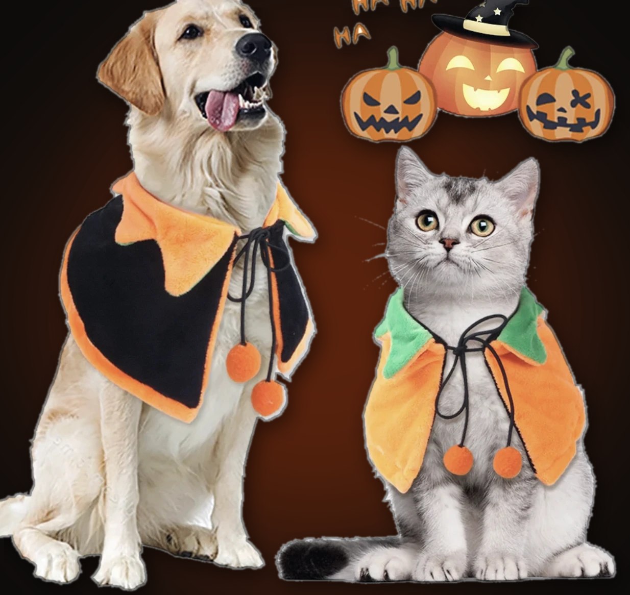 Dog and cat wearing Halloween pumpkin capes